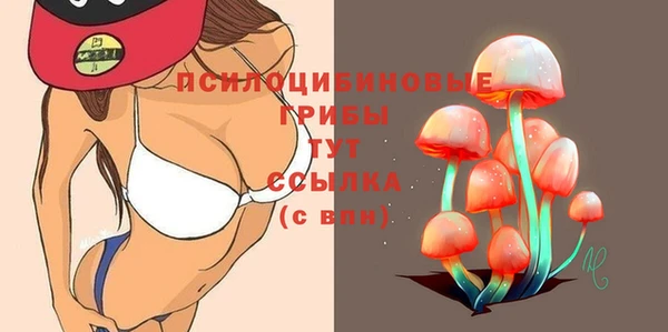 дмт Баксан